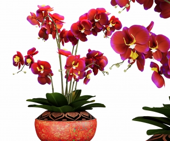 Modern Potted Green Plant-ID:586110124