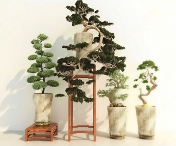 New Chinese Style Ground Green Plant Potted Plants-ID:421689039