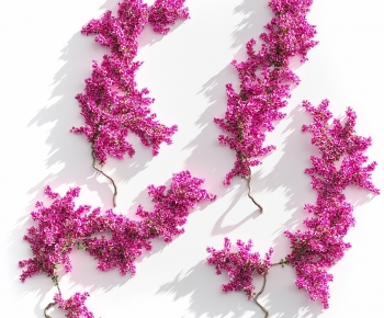 Modern Vine-ID:743971112
