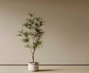 Modern Ground Green Plant Potted Plants-ID:446346047