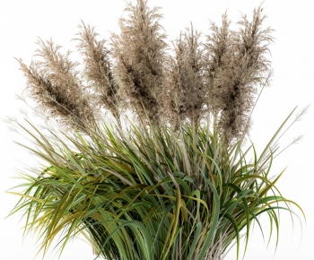Modern Flowers And Grass-ID:336565026