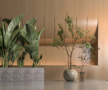 Modern Ground Green Plant Potted Plants-ID:718621023