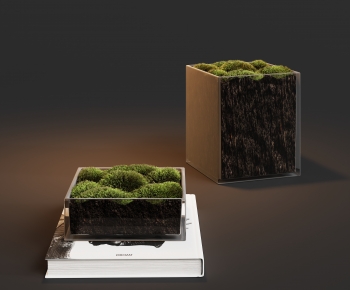 Modern Desktop Plant-ID:916169884