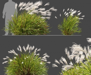 Modern Flowers And Grass-ID:294949055
