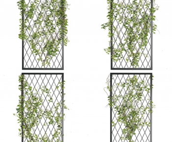 Modern Vine-ID:619497061