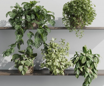 Modern Potted Green Plant-ID:859216939