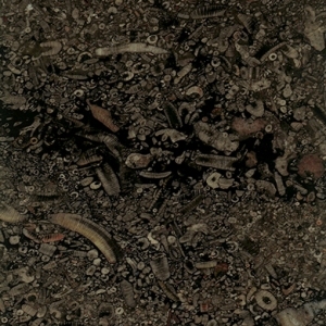 ModernMarble Tiles