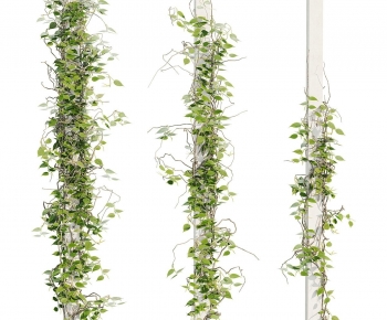 Modern Vine-ID:382138014