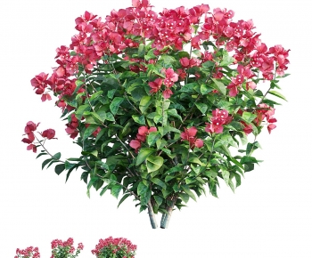 Modern Shrubbery-ID:204549076
