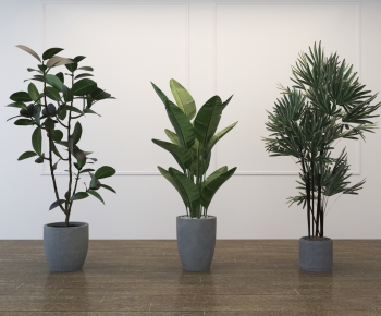 Modern Ground Green Plant Potted Plants-ID:847683912