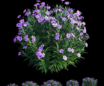 Modern Shrubbery-ID:380532031