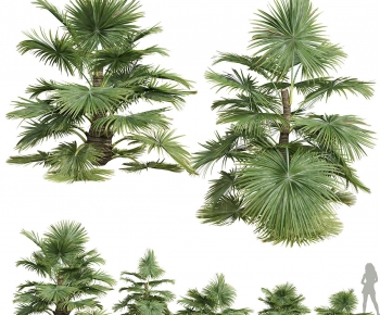 Modern Plant-ID:160496009
