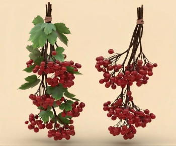 Modern Fruit-ID:787712107