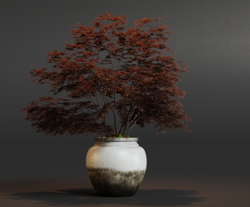 Modern Ground Green Plant Potted Plants-ID:953751096