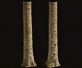 Modern Tree-ID:221024998