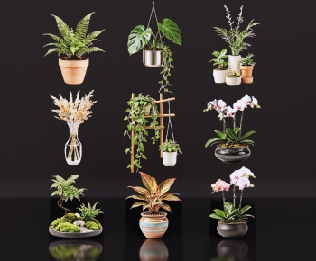 Modern Flower Arrangement-ID:380538941