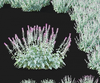 Modern Flowers And Grass-ID:748594053