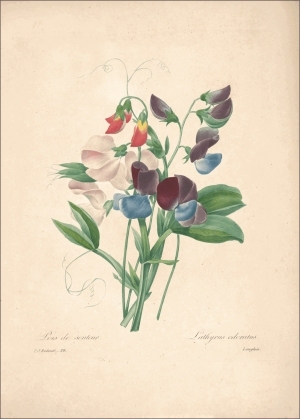 ModernOther