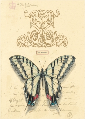 ModernOther