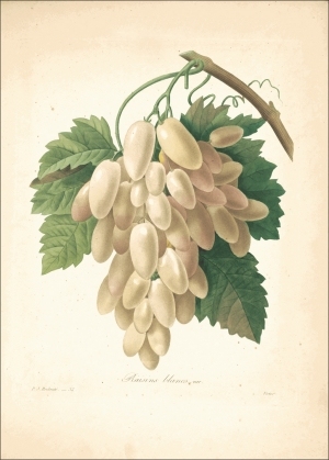 ModernOther