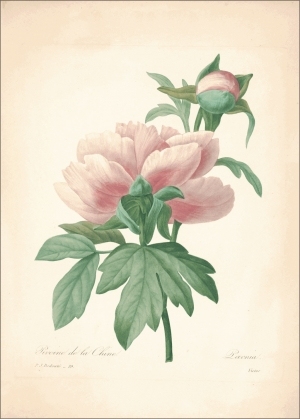 ModernOther