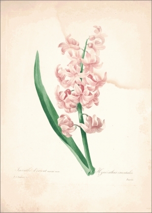 ModernOther