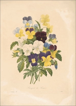 ModernOther