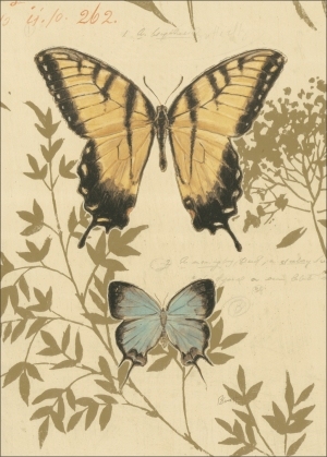 ModernOther
