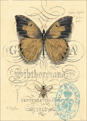 ModernOther
