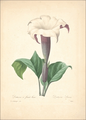 ModernOther