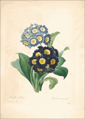 ModernOther