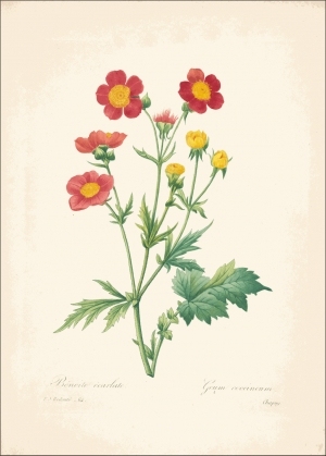 ModernOther