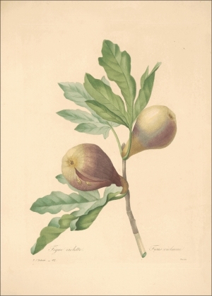 ModernOther