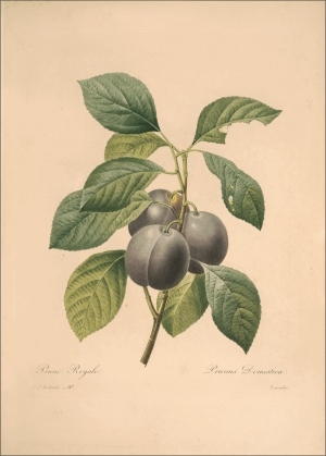 ModernOther