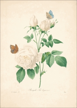ModernOther