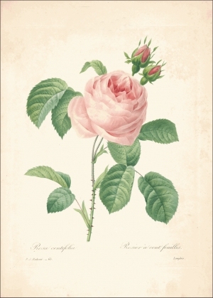ModernOther