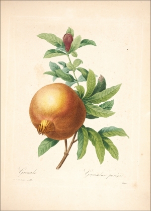 ModernOther