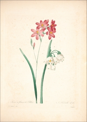 ModernOther