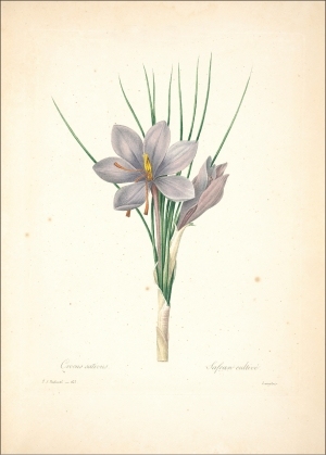 ModernOther