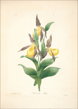 ModernOther