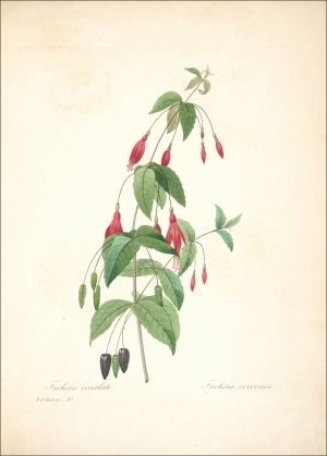 ModernOther