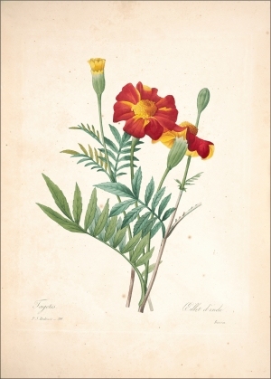 ModernOther