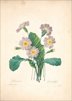 ModernOther