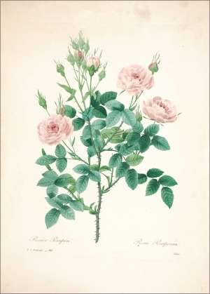 ModernOther