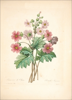 ModernOther