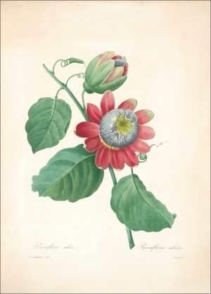 ModernOther