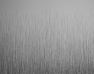 ModernTexture