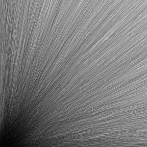 ModernTexture