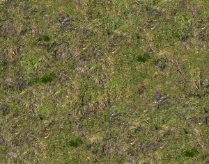 ModernGrass