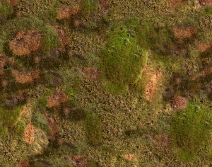 ModernGrass
